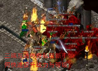 三端互通传奇私服新手如何快速提升战力与等级? 三端互通传奇私服新手如何快速提升战力与等级?