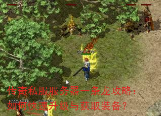 传奇私服服务器一条龙攻略:如何快速升级与获取装备? 传奇私服服务器一条龙攻略:如何快速升级与获取装备?