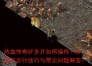 ��Ѫ����SF�࿪��β��������˺����м����볣��������
