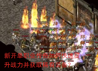 �¿���ְҵ������ο�������ս������ȡϡ��װ����