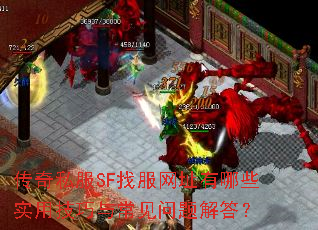 ����˽��SF�ҷ���ַ����Щʵ�ü����볣��������
