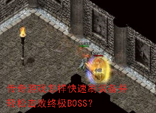������Ϸ��������ˢװ�������ɻ����ռ�BOSS��