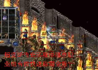 ����SF����˽������Щְҵ����ܿ��ٳư�ȫ����