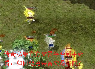 ����˽���ٷ�����ƽ̨���ֱؿ�����α���װ���������壿