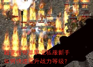 ���䴫�浥ְҵ˽��������ο�������ս���ȼ���
