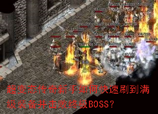 ����̬����������ο���ˢ������װ���������ռ�BOSS��