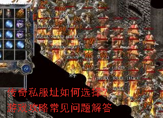 ����˽��ַ���ѡ����Ϸ���Գ���������