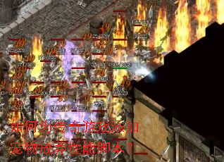 如何为传奇游戏添加宠物放养性能脚本? 如何为传奇游戏添加宠物放养性能脚本?