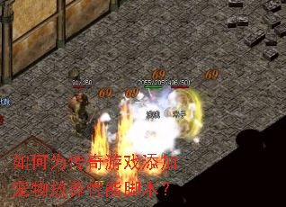 如何为传奇游戏添加宠物放养性能脚本? 如何为传奇游戏添加宠物放养性能脚本?