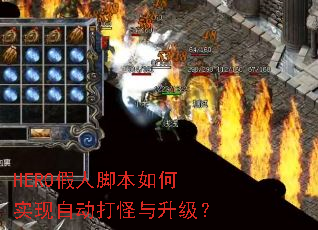 HERO���˽ű����ʵ���Զ������������