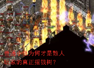 ��ͨС��Ϊ�β���ɢ����ҵ�����ҡǮ����