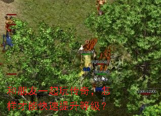 ������һ���洫�棬�������ܿ��������ȼ���