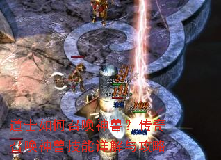 ��ʿ����ٻ����ޣ������ٻ����޼�������빥��