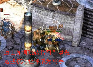 ��ʿ�����ת���棿������Щ���������Ϊ����