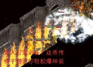 ɢ�˴򱦱ر�����Щ���������������ɱ���װ