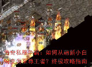 ����˽�����ԣ���δ�����С���ɱ�Ϊ�������ߣ��ռ�����ָ��