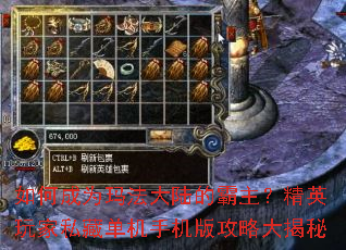 如何成为玛法大陆的霸主?精英玩家私藏单机手机版攻略大揭秘 如何成为玛法大陆的霸主?精英玩家私藏单机手机版攻略大揭秘