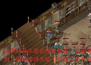 如何化身杀星在传奇私服中实现无限屠戮?纵横沙场无敌手的秘诀是什么? 如何化身杀星在传奇私服中实现无限屠戮?纵横沙场无敌手的秘诀是什么?