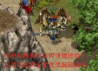 传奇私服新手如何快速进阶?从菜鸟到高手的速成秘籍揭秘 传奇私服新手如何快速进阶?从菜鸟到高手的速成秘籍揭秘