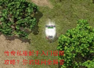 传奇私服新手入门极限攻略?你的疑问全解答 传奇私服新手入门极限攻略?你的疑问全解答