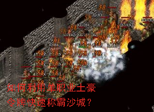如何利用单职业土豪令牌快速称霸沙城? 如何利用单职业土豪令牌快速称霸沙城?
