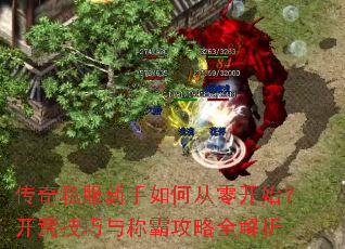 ����˽��������δ��㿪ʼ�����ļ�����ưԹ���ȫ����