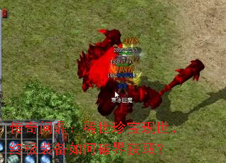 传奇问鼎:稀世珍宝现世,终极装备如何破界获取? 传奇问鼎:稀世珍宝现世,终极装备如何破界获取?