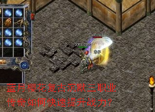 ����ӣ�����ų�Ĭ��ְҵ������ο�������ս����