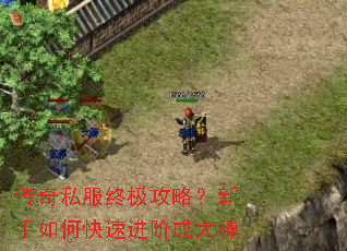 传奇私服终极攻略?新手如何快速进阶成大神 传奇私服终极攻略?新手如何快速进阶成大神