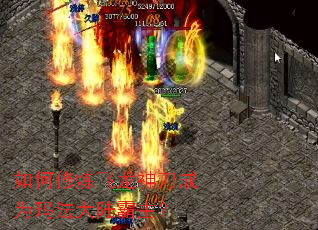 ������������񵶳�Ϊ�귨��½������