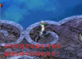 如何快速养成最新传奇私服国际服中的强势角色? 如何快速养成最新传奇私服国际服中的强势角色?