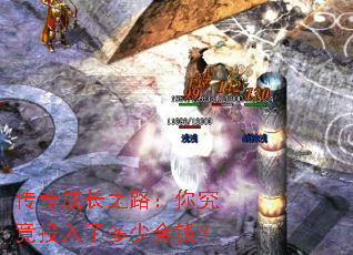 传奇成长之路:你究竟投入了多少金钱? 传奇成长之路:你究竟投入了多少金钱?