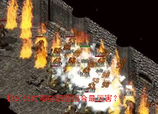 打BOSS时哪些职业组合最厉害? 打BOSS时哪些职业组合最厉害?