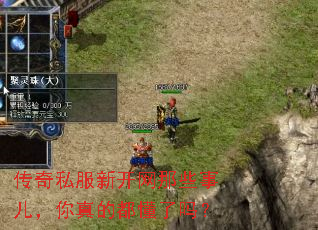 传奇私服新开网那些事儿,你真的都懂了吗? 传奇私服新开网那些事儿,你真的都懂了吗?