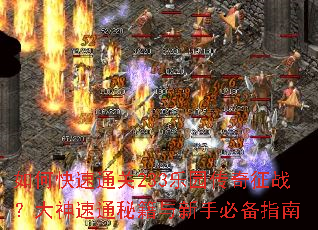 如何快速通关233乐园传奇征战?大神速通秘籍与新手必备指南 如何快速通关233乐园传奇征战?大神速通秘籍与新手必备指南