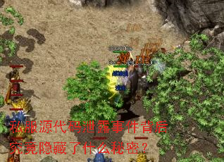 私服源代码泄露事件背后究竟隐藏了什么秘密? 私服源代码泄露事件背后究竟隐藏了什么秘密?