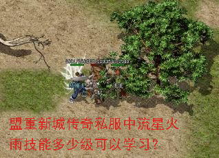 盟重新城传奇私服中流星火雨技能多少级可以学习? 盟重新城传奇私服中流星火雨技能多少级可以学习?