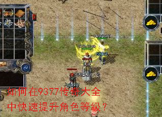 如何在9377传奇大全中快速提升角色等级? 如何在9377传奇大全中快速提升角色等级?