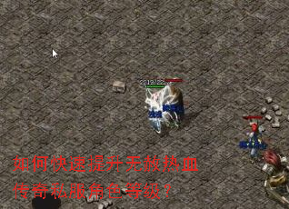 如何快速提升无赦热血传奇私服角色等级? 如何快速提升无赦热血传奇私服角色等级?