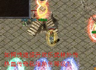 如何快速提升欢乐武林外传热血传奇私服角色等级? 如何快速提升欢乐武林外传热血传奇私服角色等级?