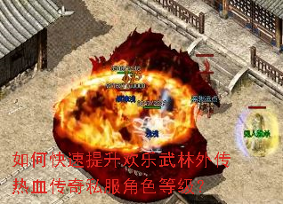 如何快速提升欢乐武林外传热血传奇私服角色等级? 如何快速提升欢乐武林外传热血传奇私服角色等级?