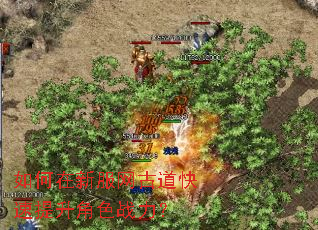 如何在新服网古道快速提升角色战力? 如何在新服网古道快速提升角色战力?