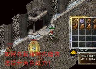 如何在新服网古道快速提升角色战力? 如何在新服网古道快速提升角色战力?