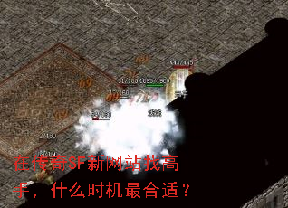 在传奇SF新网站找高手,什么时机最合适? 在传奇SF新网站找高手,什么时机最合适?