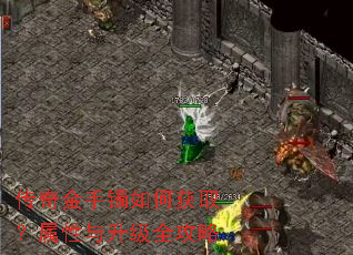 传奇金手镯如何获取?属性与升级全攻略 传奇金手镯如何获取?属性与升级全攻略