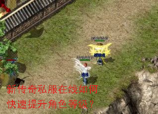 新传奇私服在线如何快速提升角色等级? 新传奇私服在线如何快速提升角色等级?