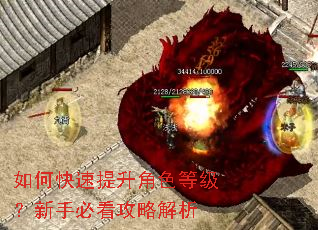 如何快速提升角色等级?新手必看攻略解析 如何快速提升角色等级?新手必看攻略解析