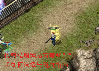 传奇私服网站有哪些?新手如何选择与避坑指南 传奇私服网站有哪些?新手如何选择与避坑指南