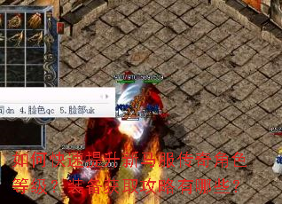 如何快速提升新马服传奇角色等级?装备获取攻略有哪些? 如何快速提升新马服传奇角色等级?装备获取攻略有哪些?