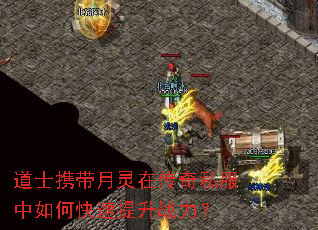 道士携带月灵在传奇私服中如何快速提升战力? 道士携带月灵在传奇私服中如何快速提升战力?